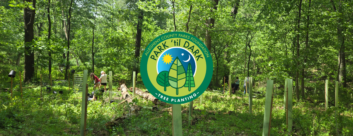 Park 'til Dark at South Park